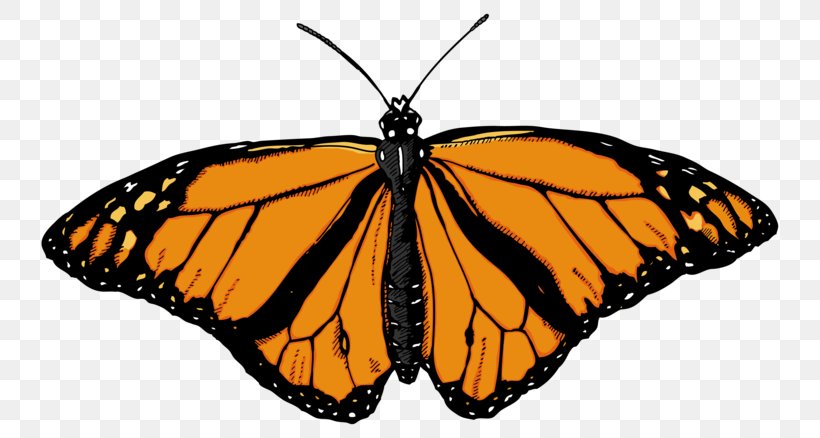 Butterfly Insect Clip Art, PNG, 800x438px, Butterfly, Arthropod, Brush Footed Butterfly, Clouded Yellow, Image File Formats Download Free