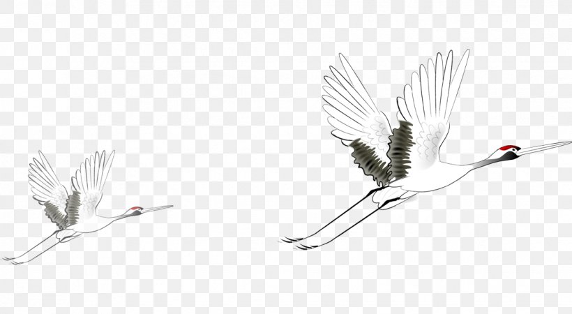 China Red-crowned Crane, PNG, 1133x623px, China, Animal, Bird, Black And White, Crane Download Free