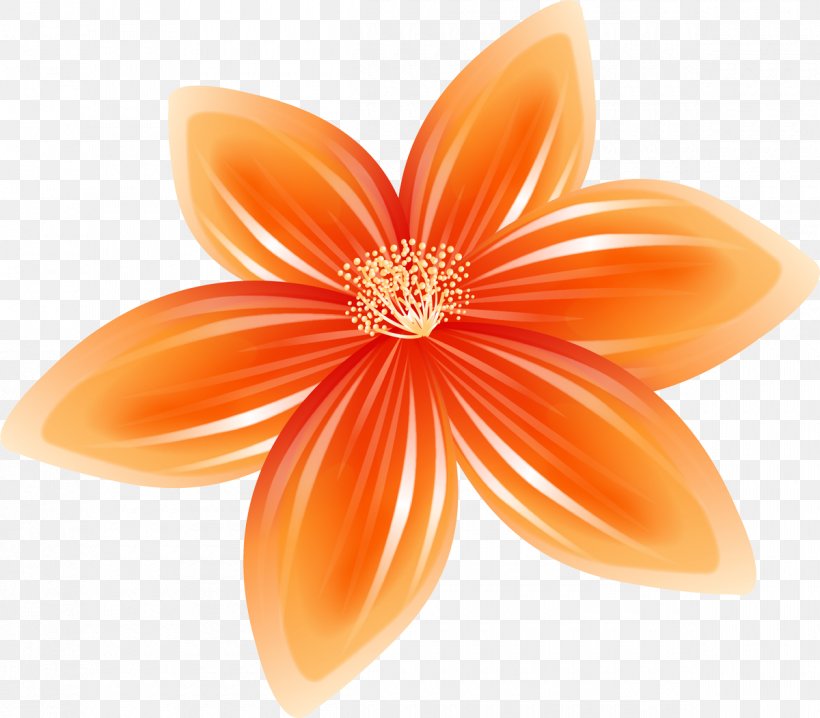 Cut Flowers Lilium Bulbiferum Petal Poppy, PNG, 1200x1052px, Flower, Cut Flowers, Dahlia, Floristry, Flower Hospital Download Free