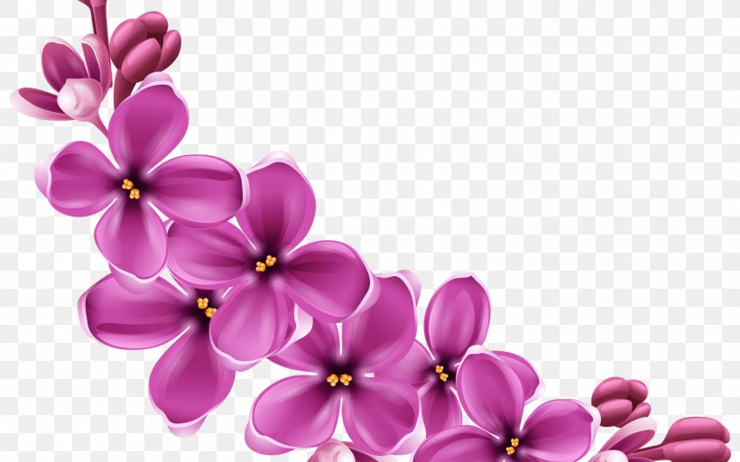 Floral Spring Flowers, PNG, 1368x855px, Flower, Artificial Flower, Black, Chromatic Flower, Cut Flowers Download Free