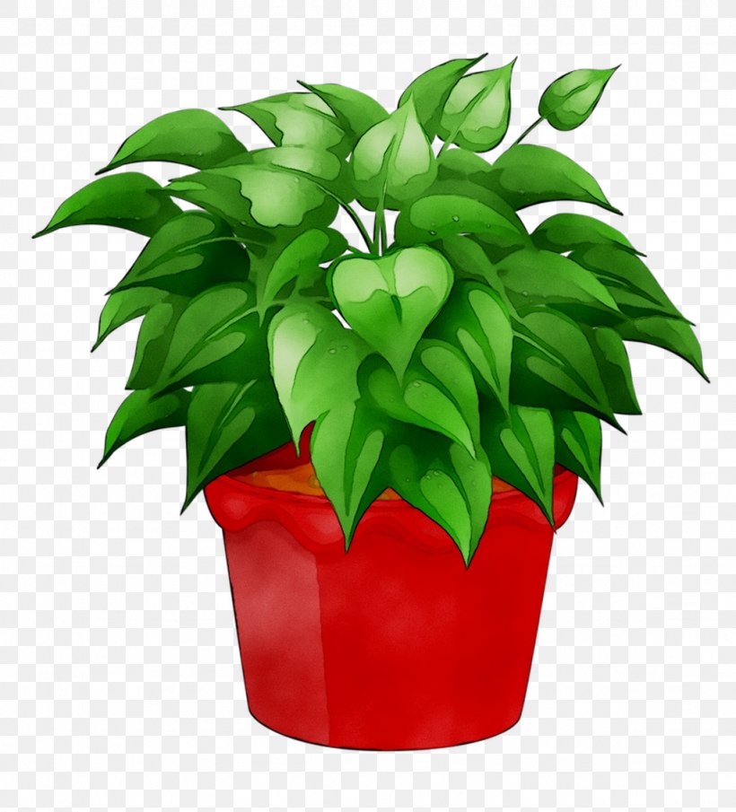 Flowerpot Leaf Houseplant, PNG, 1026x1133px, Flowerpot, Anthurium, Flower, Flowering Plant, Herb Download Free