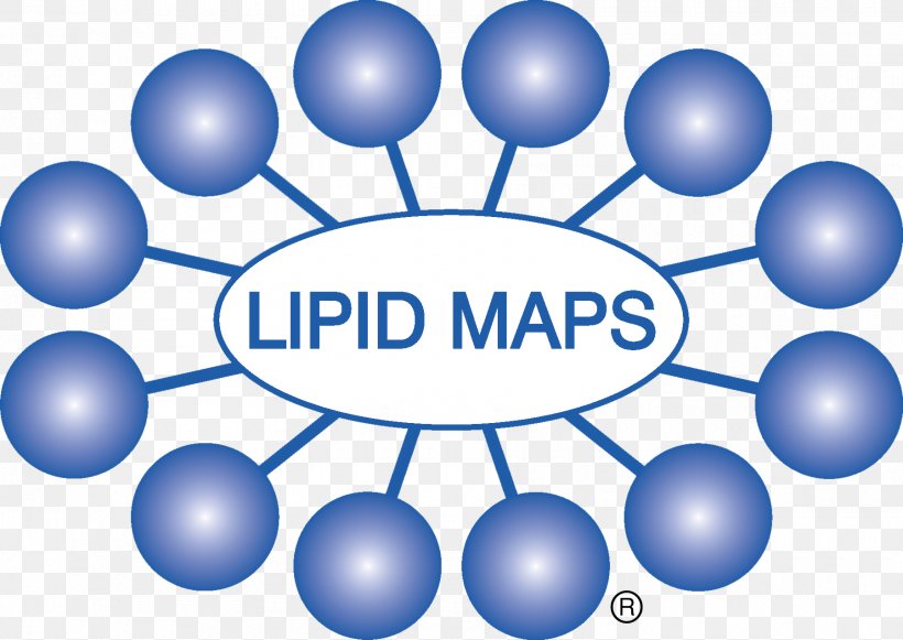 Lipidomics Standards Initiative Database Metabolomics, PNG, 1800x1277px, Lipid, Area, Blue, Data, Database Download Free