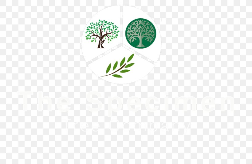 Logo Brand Tree Font, PNG, 800x536px, Logo, Brand, Grass, Green, Text Download Free