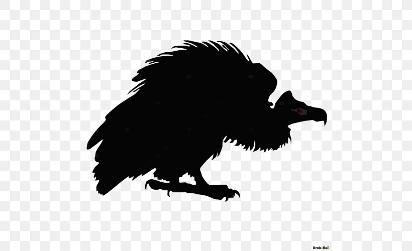 American Crow Silhouette Bird, PNG, 500x500px, American Crow, Beak, Bird, Bird Of Prey, Black And White Download Free