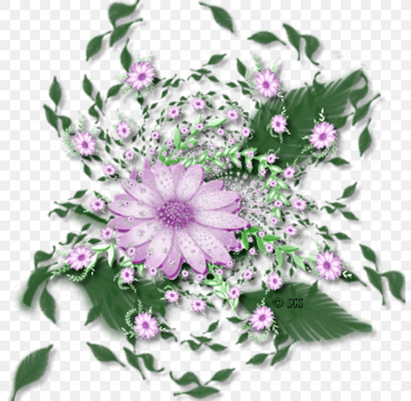 Floral Design Cut Flowers Clip Art, PNG, 799x800px, Floral Design, Album, Annual Plant, Blog, Chrysanths Download Free
