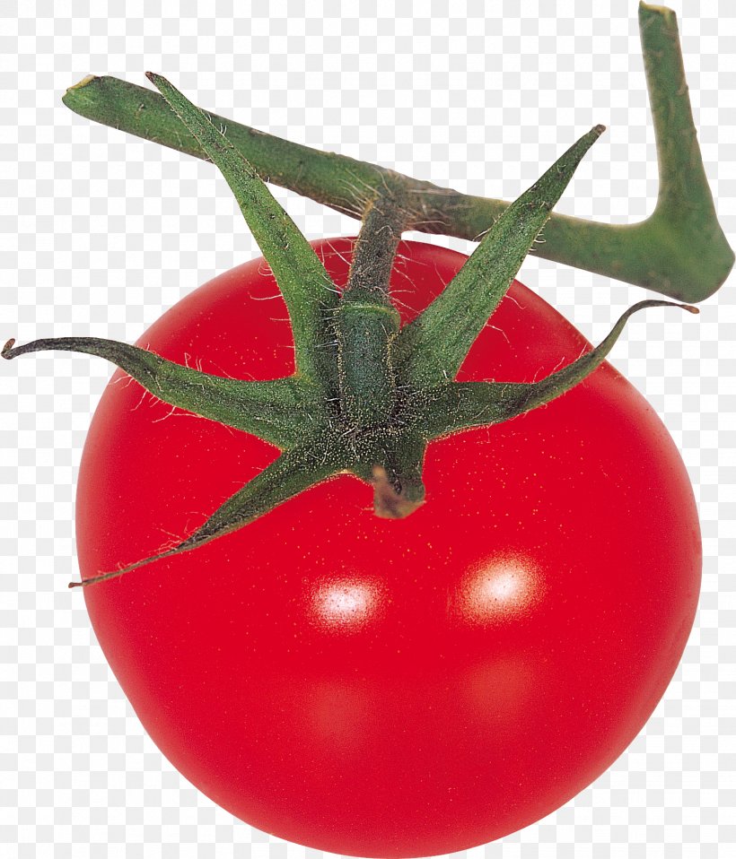 Tomato Vegetable Clip Art, PNG, 1532x1791px, Tomato, Bush Tomato, Food, Fruit, Gimp Download Free