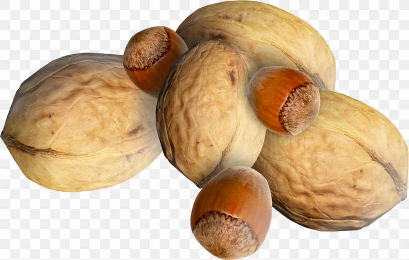 Walnut Juglans Clip Art, PNG, 1280x816px, Walnut, Auglis, Food, Fruit, Hazel Download Free