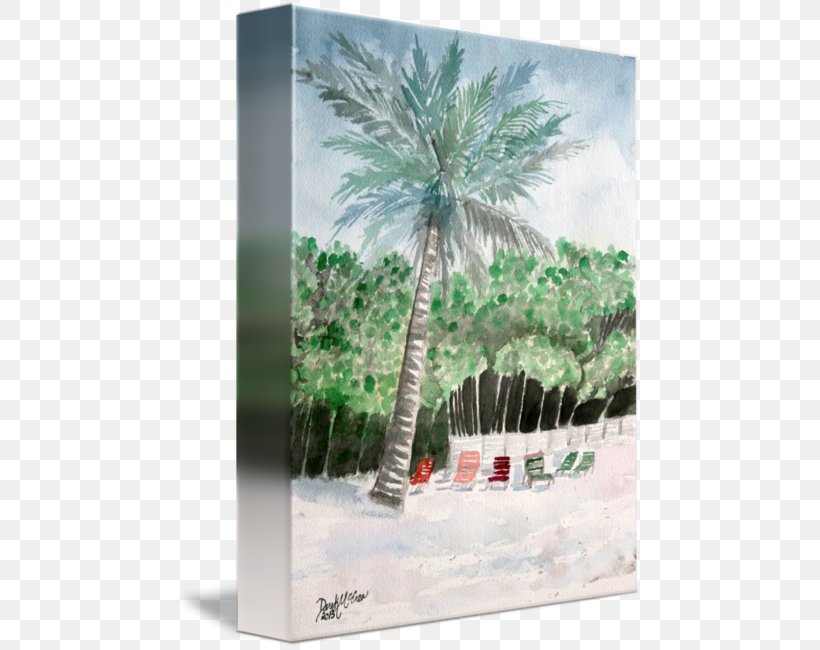 Asian Palmyra Palm Date Palm Arecaceae Borassus, PNG, 464x650px, Asian Palmyra Palm, Arecaceae, Arecales, Borassus, Borassus Flabellifer Download Free