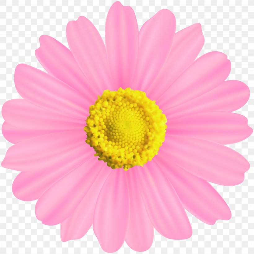 Symbol Clip Art, PNG, 5990x6000px, Symbol, Annual Plant, Aster, Chrysanths, Cut Flowers Download Free