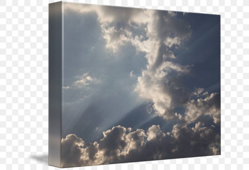 Cumulus Stock Photography Sunlight Daytime, PNG, 650x560px, Cumulus, Atmosphere, Cloud, Daytime, Heat Download Free