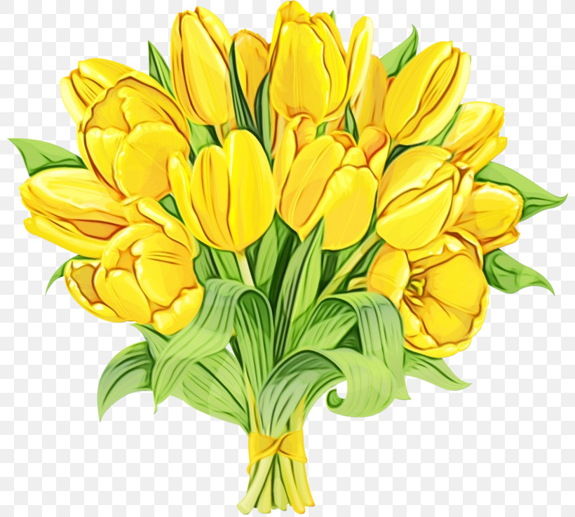 Flower Yellow Cut Flowers Plant Petal, PNG, 800x737px, Watercolor, Bouquet, Crocus, Cut Flowers, Flower Download Free