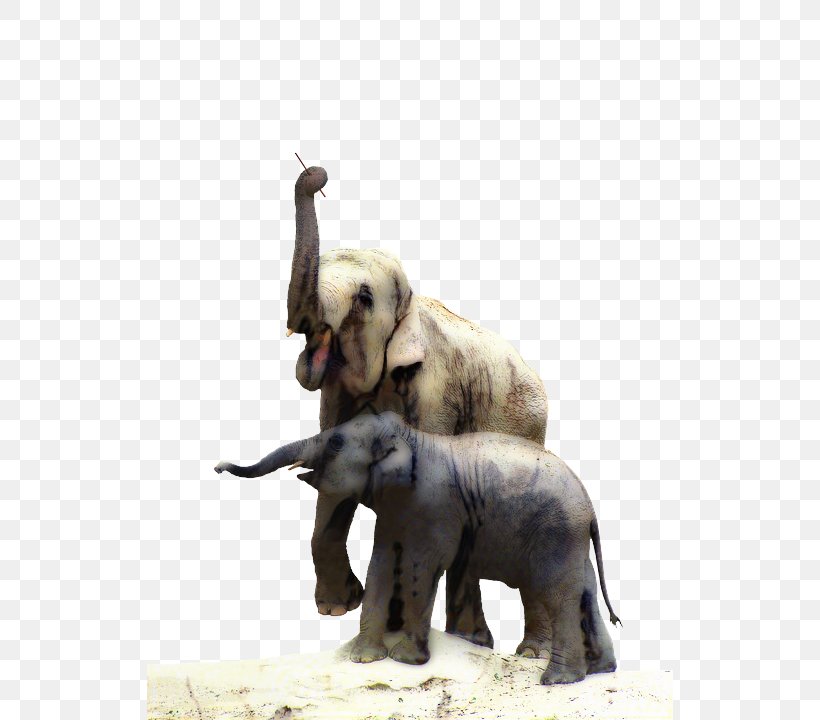 Indian Elephant African Elephant Tusk Terrestrial Animal, PNG, 526x720px, Indian Elephant, African Elephant, Animal, Animal Figure, Elephant Download Free