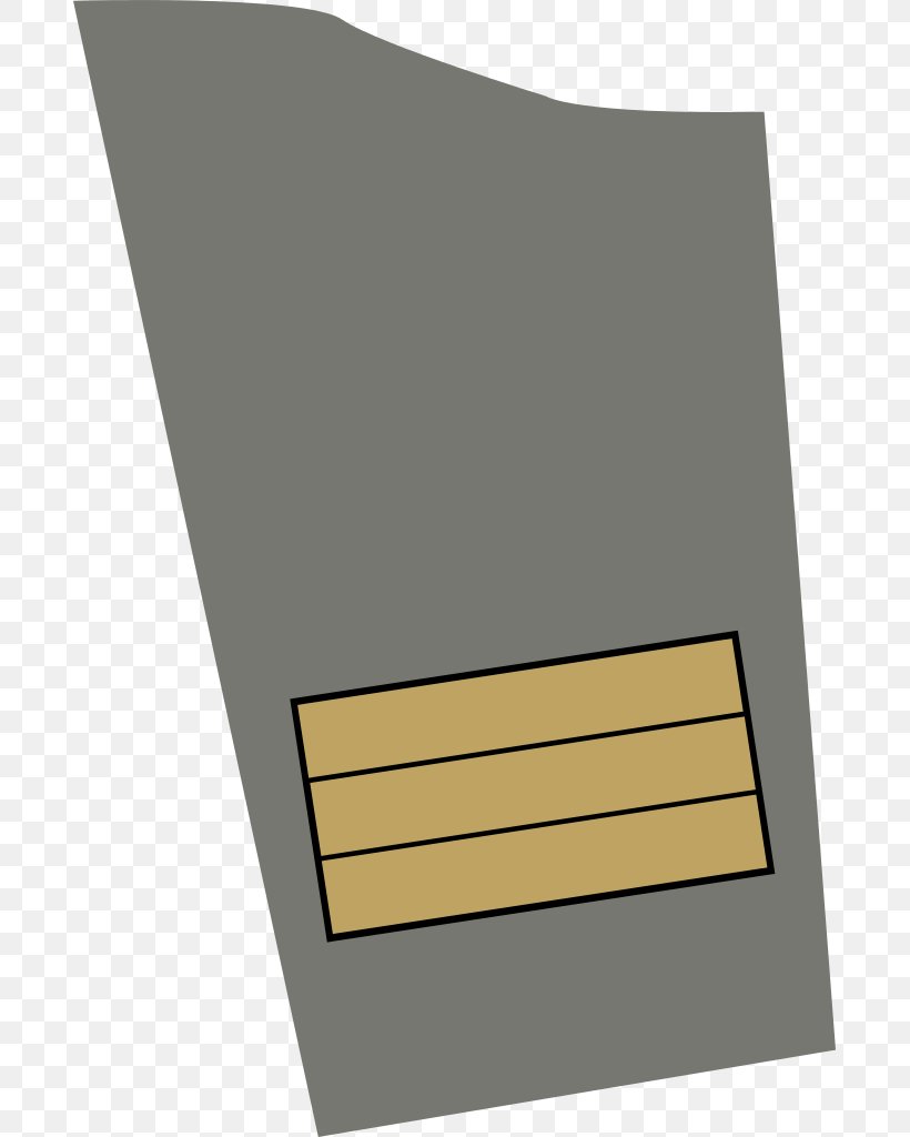 Lieutenant Colonel Military Rank Lieutenant Colonel Army Officer, PNG, 687x1024px, Colonel, Army, Army Officer, Brigadier General, Ensign Download Free