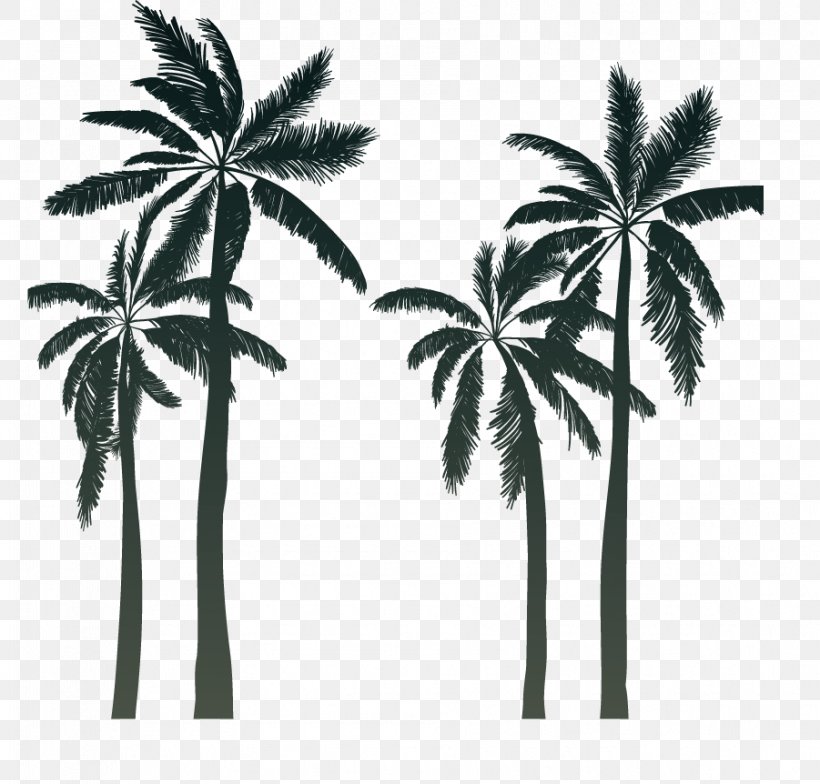 Silhouette Arecaceae Sunset Cartoon, PNG, 901x862px, Silhouette ...