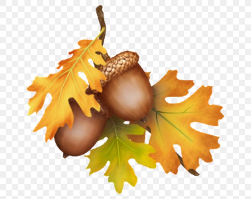 Acorn Thanksgiving Tree Clip Art, PNG, 650x650px, Acorn, Bark, Bur Oak, Chestnut, Food Download Free