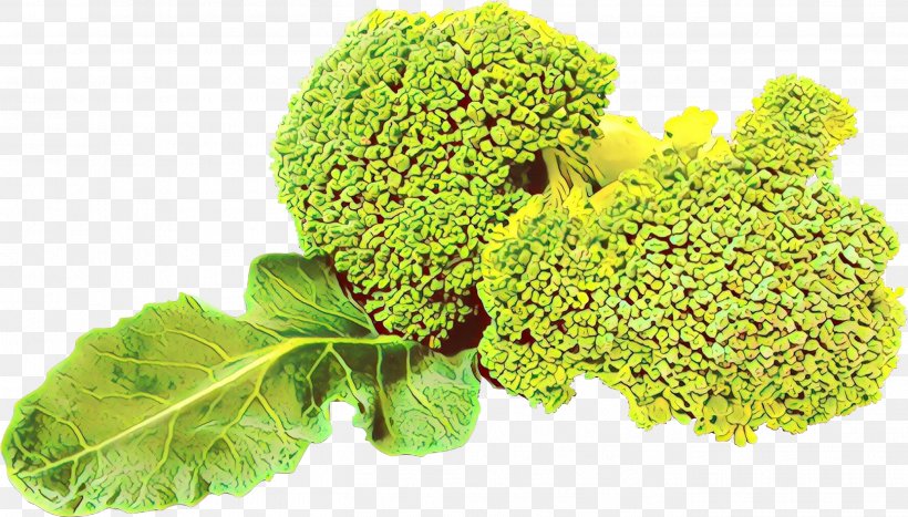 Broccoli Cruciferous Vegetables Leaf Vegetable Plant Flower, PNG, 2704x1543px, Cartoon, Broccoflower, Broccoli, Cruciferous Vegetables, Flower Download Free
