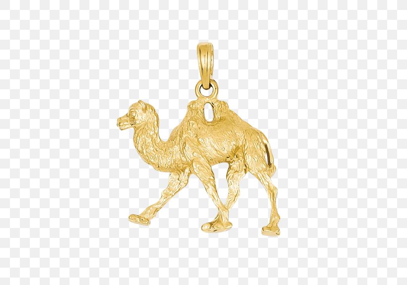 Charms & Pendants Colored Gold Locket Necklace, PNG, 575x575px, Charms Pendants, Body Jewelry, Camel Like Mammal, Chain, Charm Bracelet Download Free