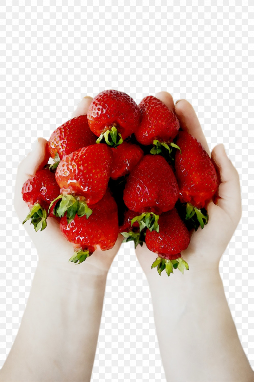 Strawberry, PNG, 1200x1800px, Watercolor, Berry, Fruit, Hm, Natural Food Download Free