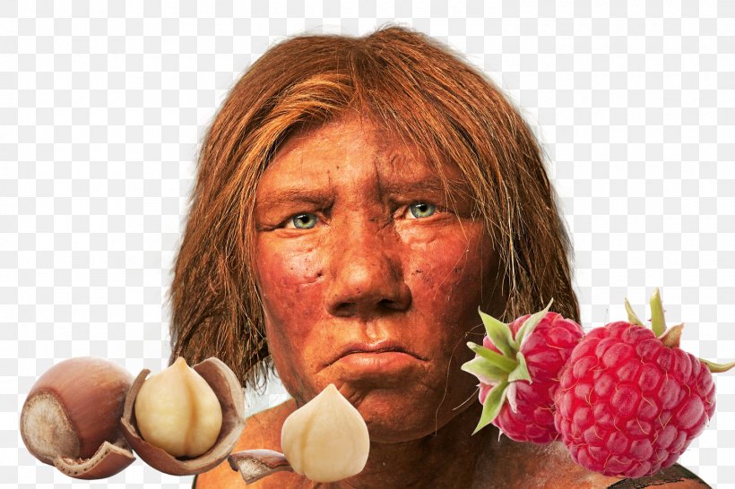 Neandertal Homo Sapiens Science Illustrated Karijoki, PNG, 1500x1000px, Neandertal, Diet Food, Eating, Face, Food Download Free