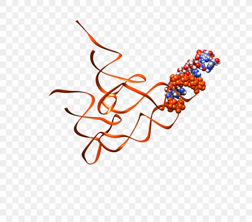 Ribosome Transfer RNA Protein Biosynthesis Messenger RNA, PNG, 3000x2640px, Ribosome, Area, Art, Bahan, Biosynthesis Download Free