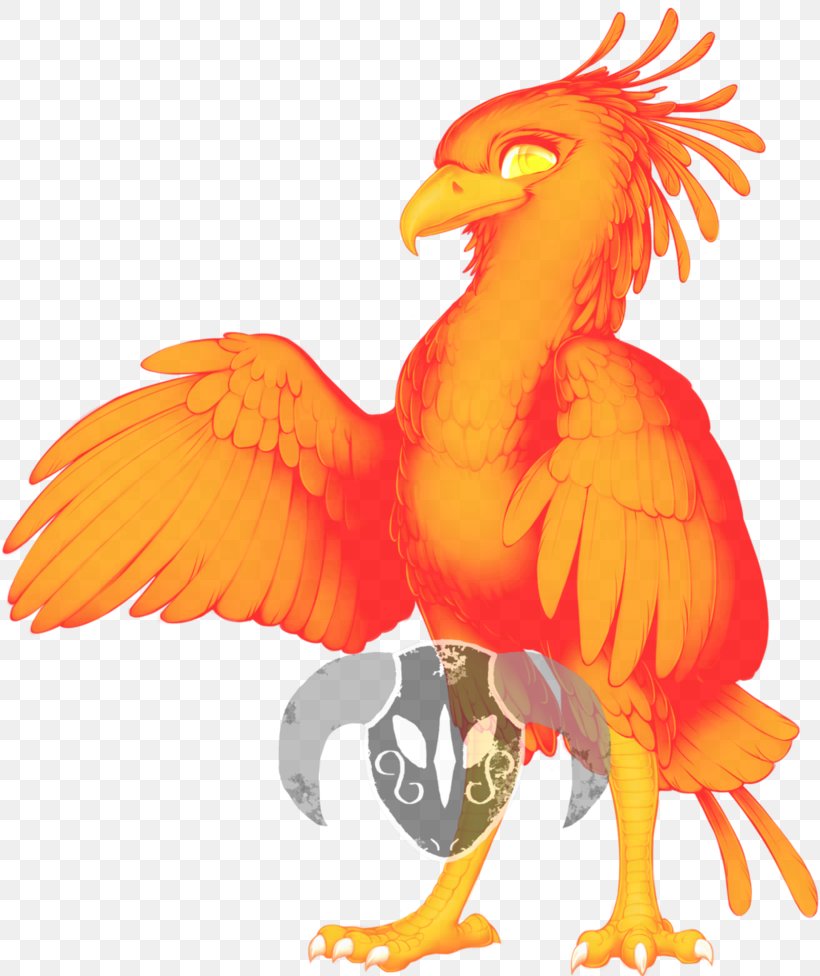 Bird Of Prey Chicken Beak Secretarybird, PNG, 819x976px, Bird, Animal, Beak, Bird Flight, Bird Of Prey Download Free
