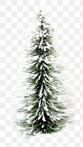 Fir-tree - Christmas Lights Desktop Wallpaper Display Resolution PNG