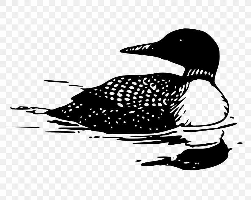Common Loon Clip Art, PNG, 1969x1572px, Common Loon, Art, Beak, Bird, Black And White Download Free