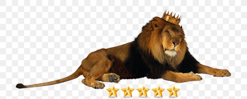 Lion Crown Jaguar King Of The Animals Clip Art, PNG, 750x329px, Lion, Animal, Big Cats, Carnivoran, Cat Like Mammal Download Free