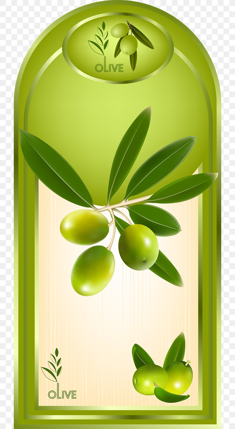Olive Oil Label Fruit, PNG, 724x1500px, Olive Oil, Bottle, Cooking Oil, Cooking Oils, Cream Download Free