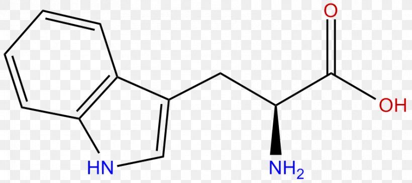 Tryptophan Amino Acid Serotonin Tyrosine, PNG, 885x396px, Tryptophan, Acid, Amino Acid, Area, Black And White Download Free