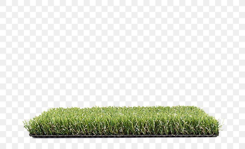 Allegro Lawn Artificial Turf Cupressus Proposal, PNG, 686x500px, Allegro, Arborvitae, Artificial Turf, Auction, Carpet Download Free