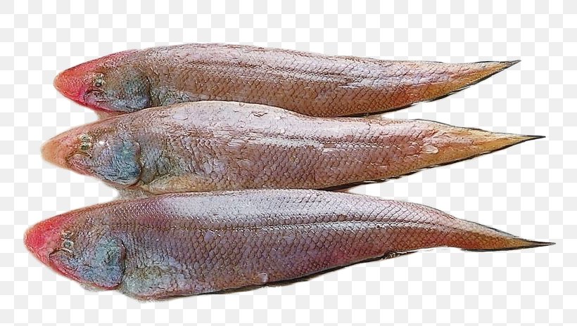 Kipper Seafood Barbecue Fish Slice, PNG, 800x464px, Kipper, Anchovy, Animal Source Foods, Barbecue, Capelin Download Free