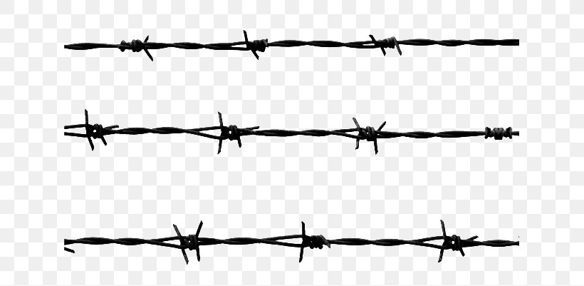 Barbed Wire, PNG, 639x401px, Barbed Wire, Black And White, Branch, Drawing, Electrical Cable Download Free