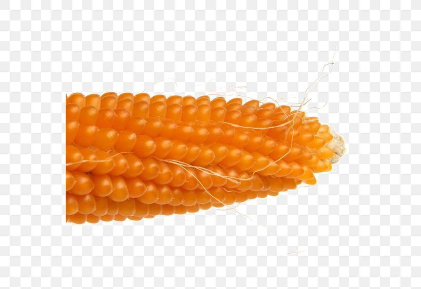 Corn On The Cob Maize Wotou, PNG, 564x564px, Corn On The Cob, Commodity, Corn Kernel, Corn Kernels, Dish Download Free