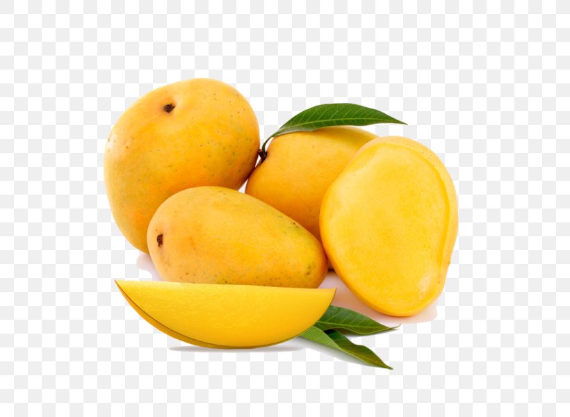 Juice Alphonso Mango Fruit Mangifera Indica, PNG, 600x600px, Juice, Alphonso, Benishan, Citric Acid, Citrus Download Free