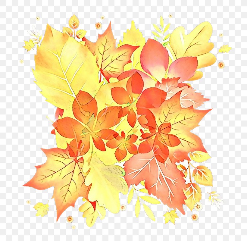 Leaf Yellow Plant Flower Tree, PNG, 800x800px, Cartoon, Autumn, Flower, Flowering Plant, Leaf Download Free