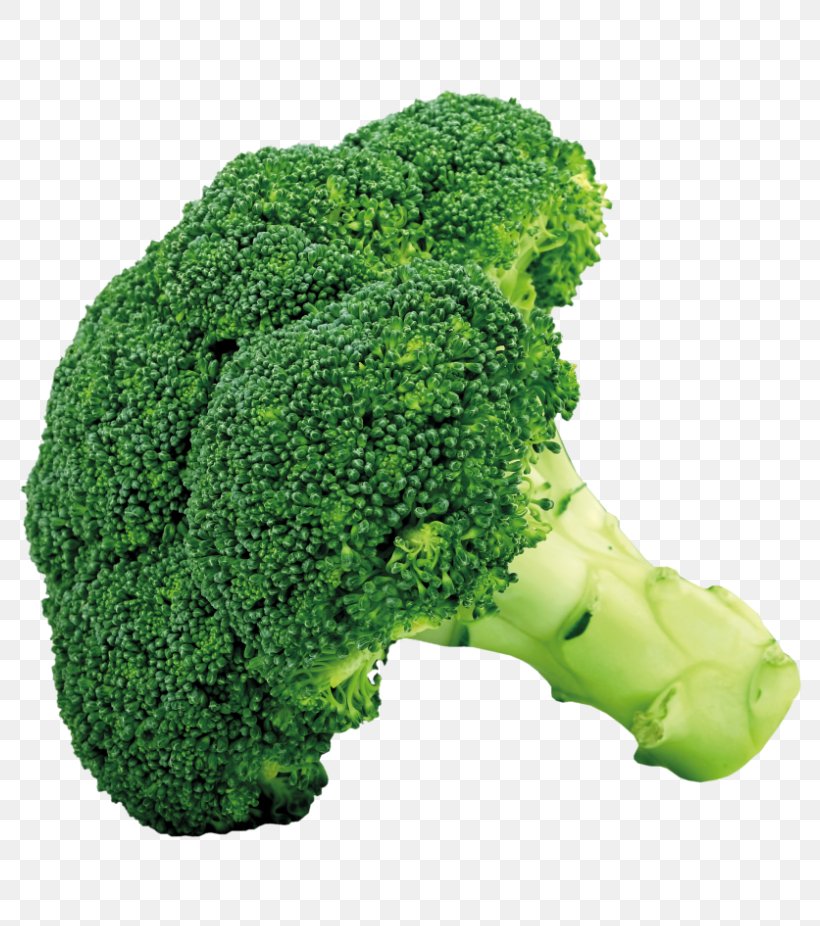 Broccoli Slaw Vegetable Clip Art, PNG, 800x926px, Broccoli Slaw, Brassica Oleracea, Broccoli, Cauliflower, Coleslaw Download Free