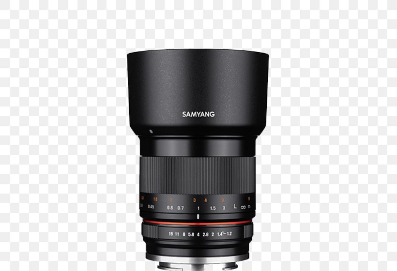 Canon EOS M Canon EF Lens Mount Samyang Optics Canon EF-M Lens Mount, PNG, 800x560px, 35 Mm Film, 35mm Format, Canon Eos M, Camera, Camera Accessory Download Free
