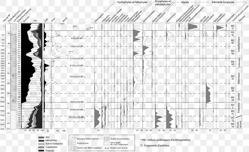 Diagram Paleoecology Drawing /m/02csf Architecture, PNG, 2889x1765px, Diagram, Architecture, Black And White, Bog, Building Download Free