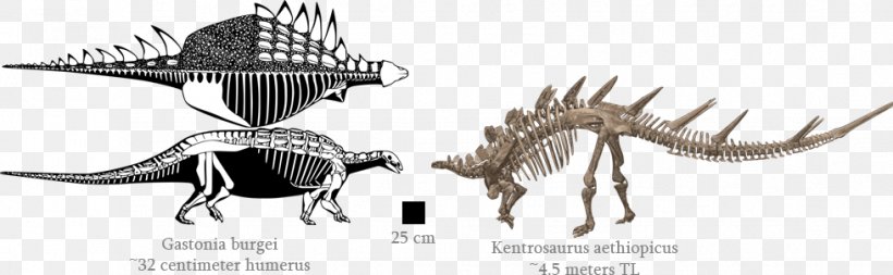 Dinosaur Line Art Animal Legendary Creature, PNG, 979x303px, Dinosaur, Animal, Animal Figure, Black And White, Extinction Download Free