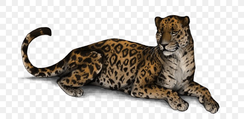 Leopard Jaguar Cheetah Whiskers Snout, PNG, 700x400px, Leopard, Animal, Animal Figure, Big Cats, Carnivoran Download Free