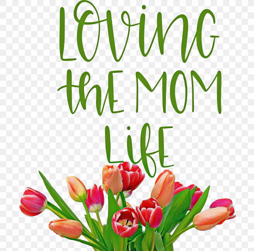 Mothers Day Mothers Day Quote Loving The Mom Life, PNG, 2844x2812px, Mothers Day, Color, Cut Flowers, Floral Design, Flower Download Free