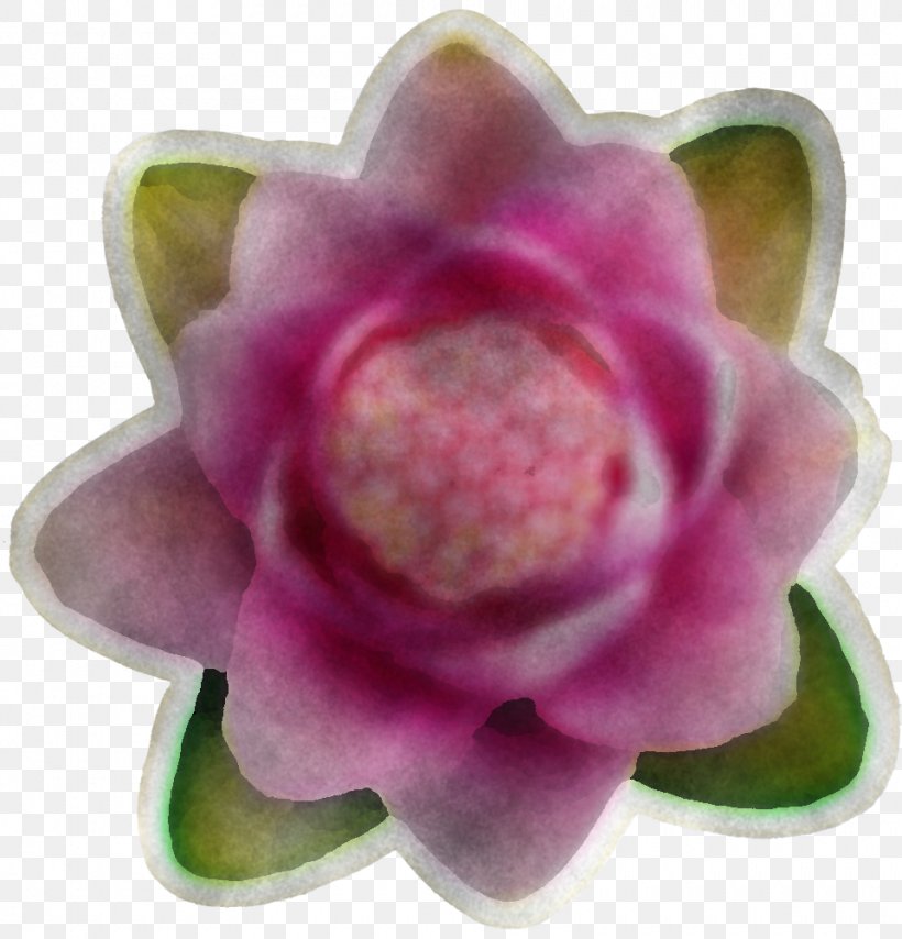 Petal Pink Flower Plant Violet, PNG, 960x1000px, Petal, Aquatic Plant, Flower, Flowering Plant, Lotus Family Download Free