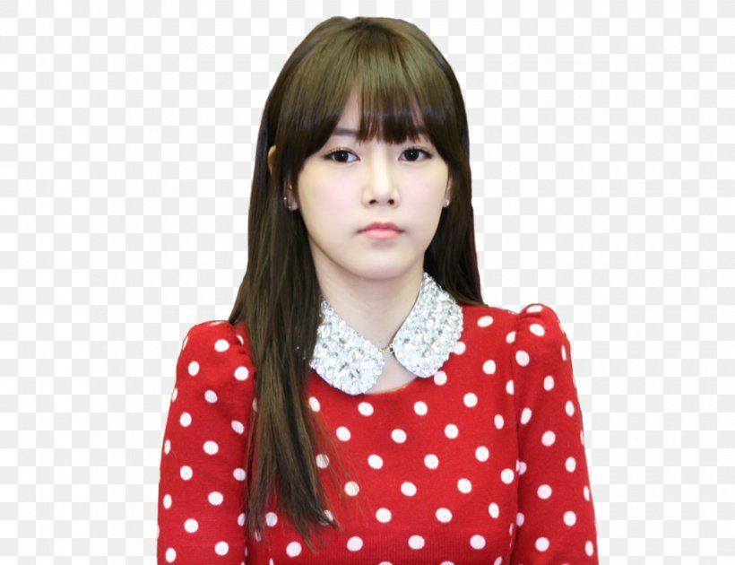 Soyeon T-ara Number Nine K-pop, PNG, 1020x784px, Watercolor, Cartoon, Flower, Frame, Heart Download Free