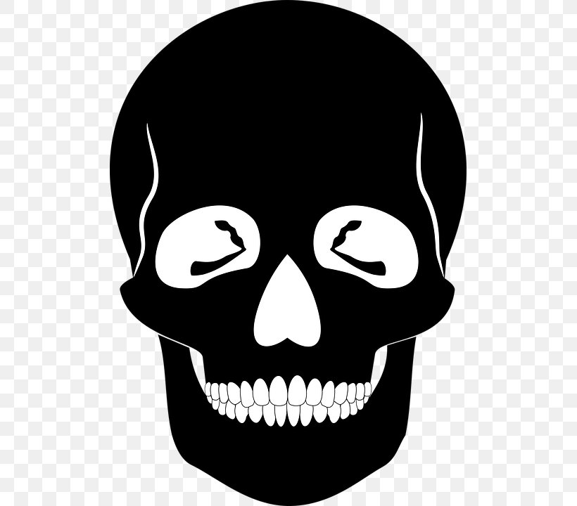 Skull Stencil Silhouette Human Skeleton, PNG, 507x720px, Skull, Art, Black And White, Bone, Drawing Download Free