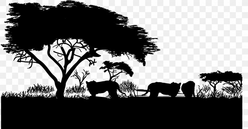 Cheetah Lion Grassland, PNG, 2996x1558px, Tiger, Black And White, Cheetah, Gradient, Grass Download Free