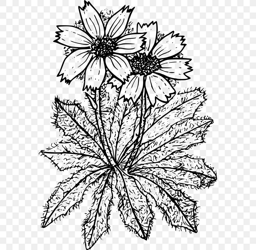 Floral Design Coloring Book Cut Flowers, PNG, 572x800px, Floral Design, Artwork, Black And White, Chrysanthemum, Chrysanths Download Free