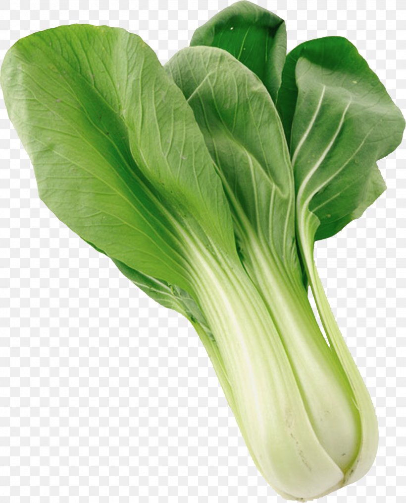 Napa Cabbage Rapeseed Choy Sum Vegetable Chinese Cabbage, PNG, 1548x1915px, Napa Cabbage, Bok Choy, Brassica, Brassica Rapa, Cabbage Download Free