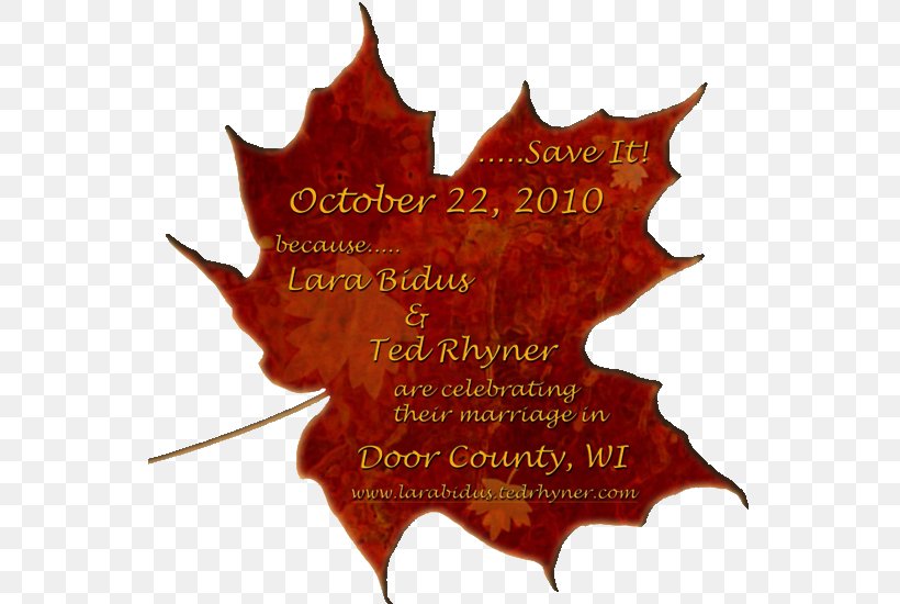 Autumn Leaf Color Maple Leaf, PNG, 550x550px, Autumn Leaf Color, Autumn, Birch, Equinox, Leaf Download Free