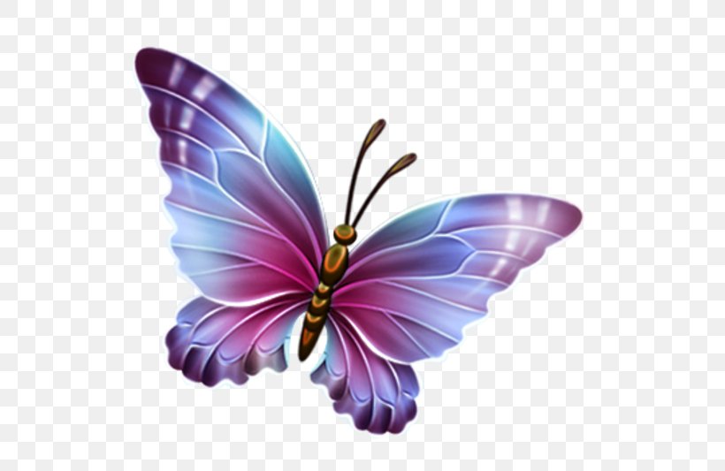 Butterfly Clip Art, PNG, 600x533px, Butterfly, Blue, Brush Footed Butterfly, Color, Greta Oto Download Free